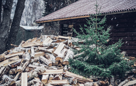 Siguldas pilsētas SIA “JUMIS” svētku eglītes aicina nemest sadzīves atkritumos