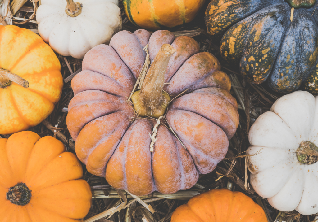 Četri risinājumi ķirbja “otrajai dzīvei” pēc Halovīndienas svinībām